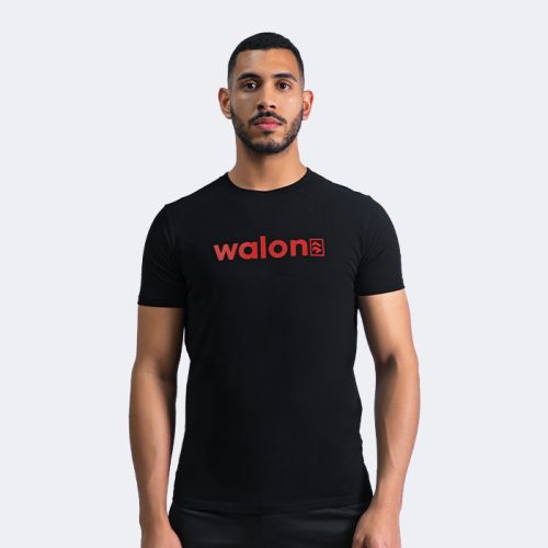 POLO CASUAL BASIC IW-24I ADULTO