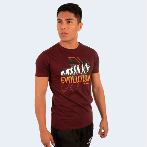 POLO CASUAL BASIC EVOLUTION HOMBRE